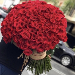 senin için 201 kırmızı gül ile sana geliyorum :)